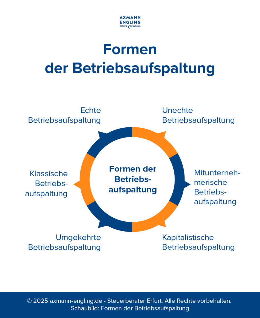Blaues Kreisdiagramm zeigt verschiedene Formen der Betriebsaufspaltung: echte, klassische, umgekehrte, unechte und andere.